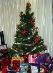 Christmas Program – 2008 Christmas tree presents-sm